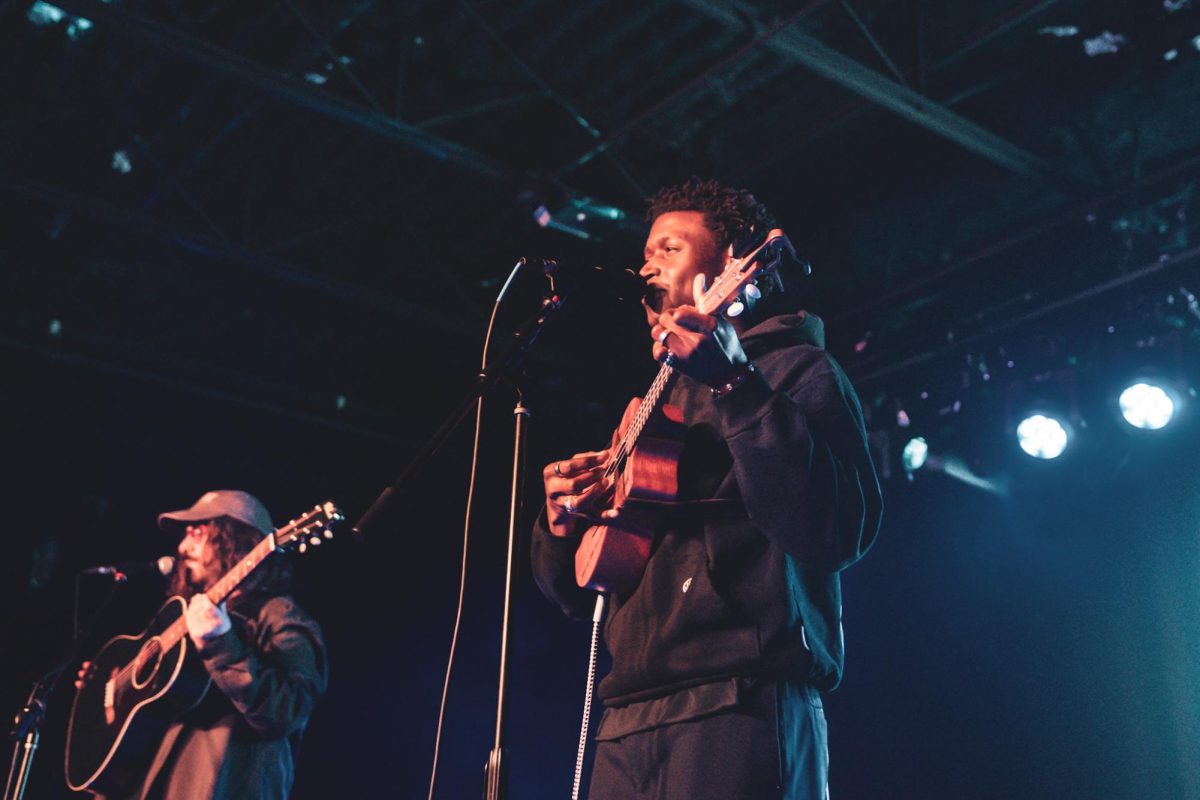 Fans at a Mon Rovîa concert